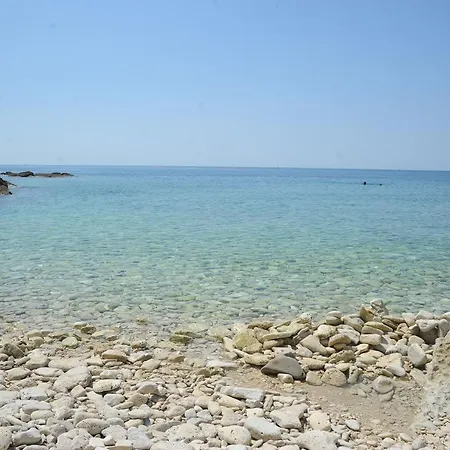 Petar * Pula