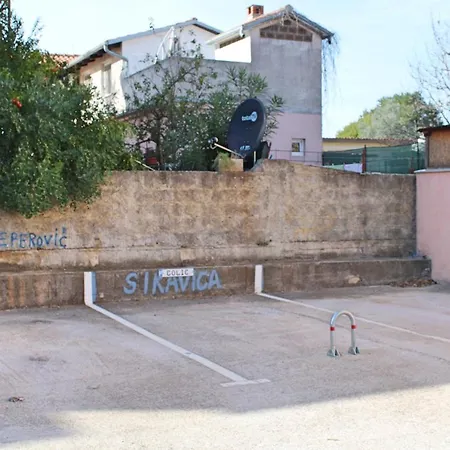 Petar * Pula